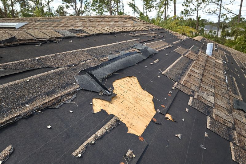 Replacing Broken Shingles